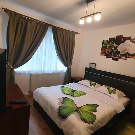 Apartament Cosbuc Baia Mare Eksteriør bilde