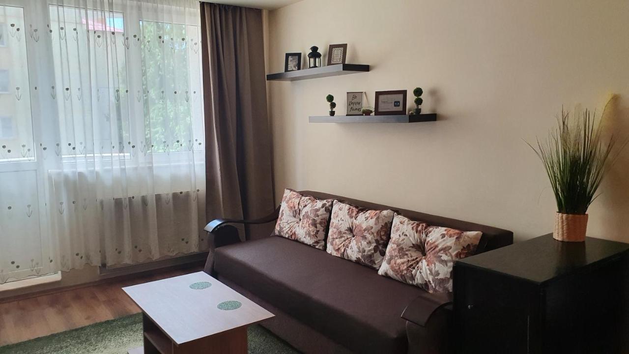 Apartament Cosbuc Baia Mare Eksteriør bilde