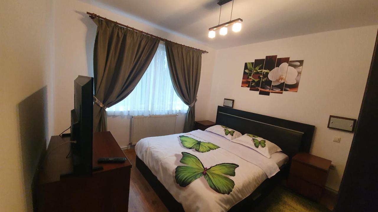 Apartament Cosbuc Baia Mare Eksteriør bilde